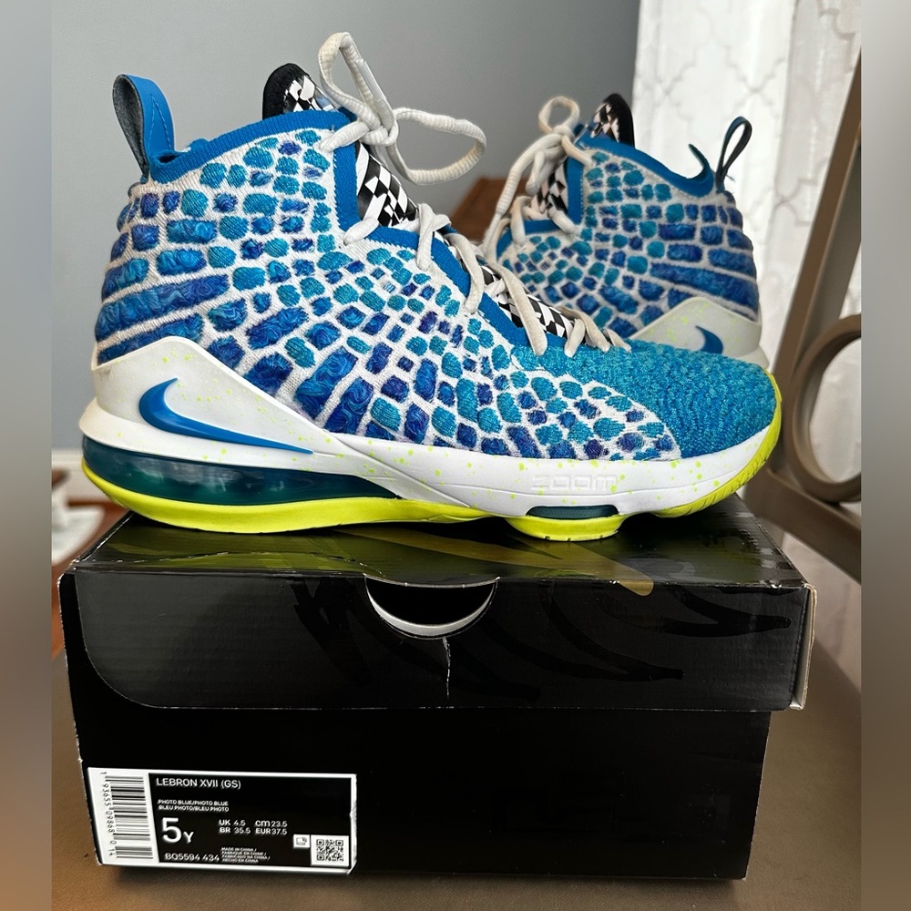 Nike Lebron shoes.  Youth Boys (big kids) size 5